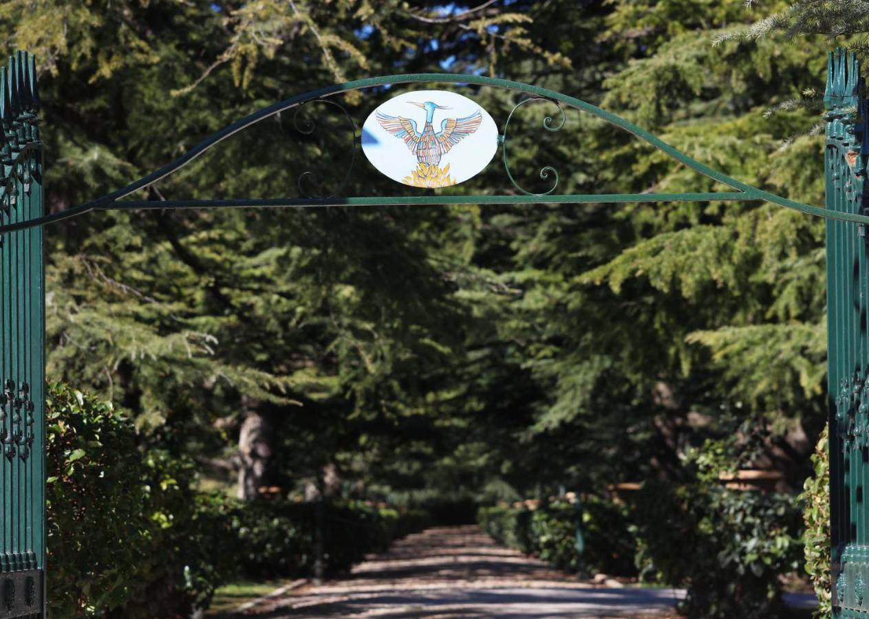 Villa Fenicia Ruvo di Puglia Exterior foto